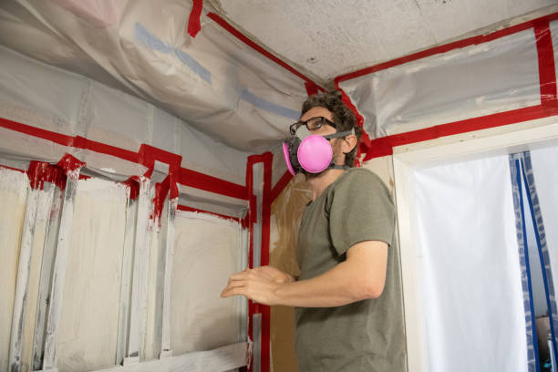 Professional Mold Removal in La Vista, NE